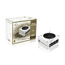 FSP PCd DAGGER PRO ATX3.0(PCIe5.0) 850W White zCg SDA2-850 Gen5.W [850W /ATX^SFX /Gold]