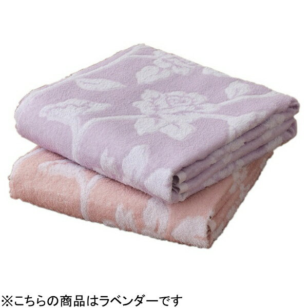 �ե��ߥ꡼���饤�ա�Family-life �Х������� �������� Ʊ��2���� ��٥���� a2874920