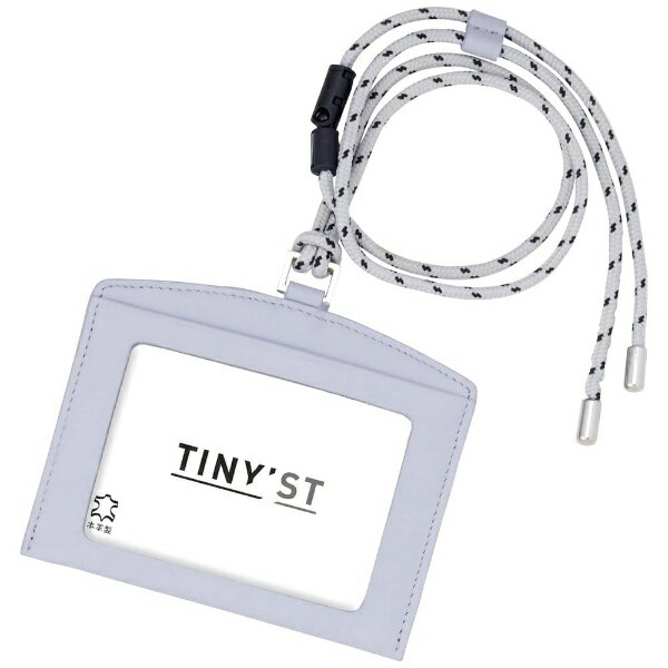 �쥤�ᥤƣ���Raymay Fujii ID�����ɥ����� NP1080A �ߥ��ȥ֥롼