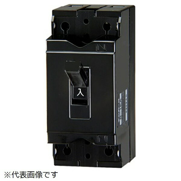 テンパール工業｜Tempearl 配線用遮断器 B-1EA 2A 産業用(交流用・直流用)