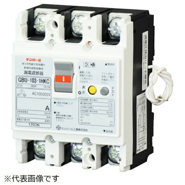 ƥѡ빩ȡTempearl ϳżǴ GBU-103.1HKC 60A 30mA ꡼