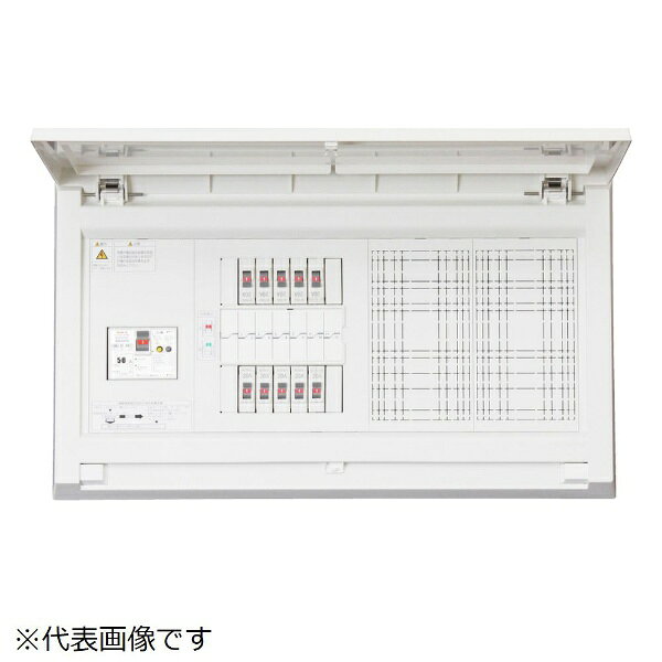 テンパール工業｜Tempearl 住宅用分電盤 MAG310142D 100A 1EX10 2EX4 Dスペース