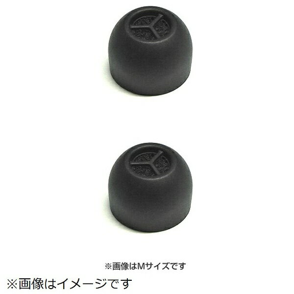 Panasonic｜パナソニック ヘッドホン用 イヤーピース（黒色）S・2個入り PNZSBS50K