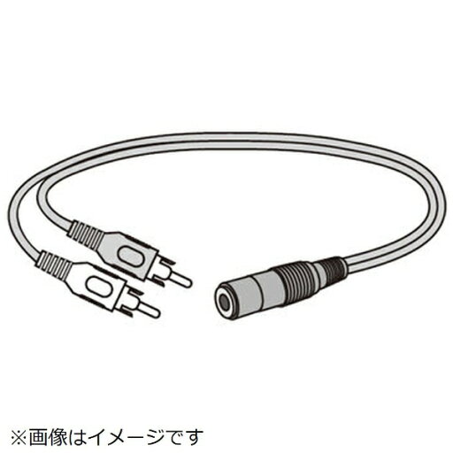 Panasonic|パナソニック ワイヤレススピーカー用 変換コード TPBAA169 Panasonic|パナソニック ワイヤレススピーカー用 変換コード TPBAA169
