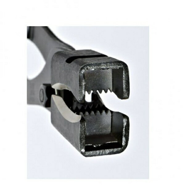 ����¡�KIKUWA ����� #1137 ������