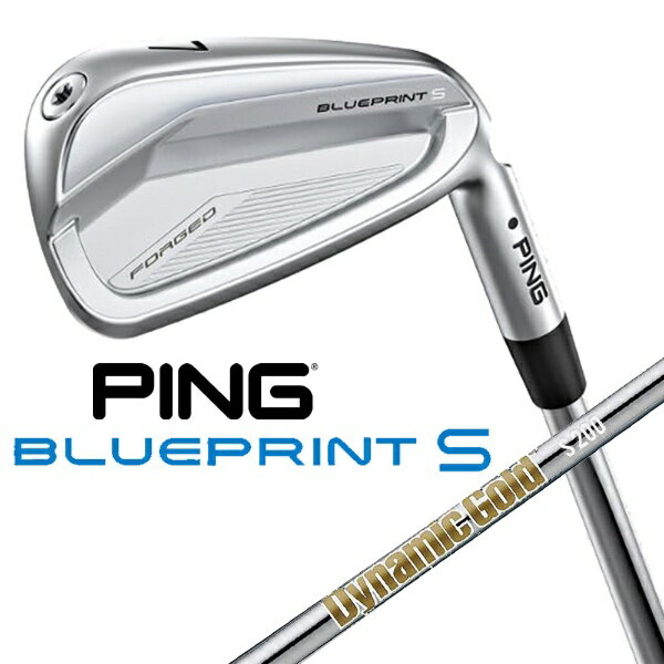 ピン｜PING アイアン BLUEPRINT S IRON [19.0° /4° /DGS200 /S200 /右利き用](4.0)
