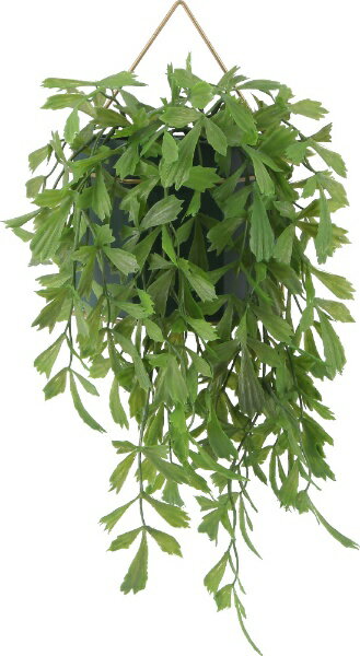 不二貿易｜Fuji Boeki フェイクグリーン ハンギング / クジャクヤシ 41124