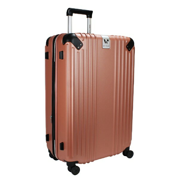 ACE�å����� World Traveler �ޥ��륺 75-88L �ƥ饳�å� WORLD-434414 [TSA���å����]