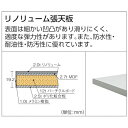 トラスコ中山|TRUSCO NAKAYAMA TRUSCO RAE型作業台 900X600XH740 上棚付 ヤンググリーン色 RAE0960YURBYG 【メーカー直送・代金引換不可・時間指定・返品不可】(4)
