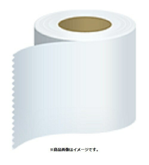 EPSON｜エプソン 〔ラベルプリンター用紙〕ロール紙(マット紙ラベル1) ファイン紙ダイカットラベル 超強粘 [320枚(80x100mm) /10巻] C34SA005B