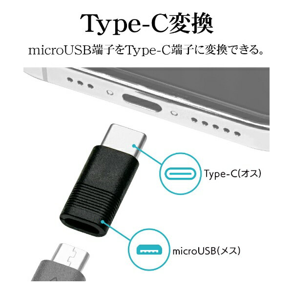 ラスタバナナ｜RastaBanana 充電・通信変換アダプタ microUSB to Type-C BK ラスタバナナ ブラック RHEMC01BK 3