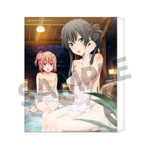 하비 스톡 | HOBBY STOCK 역시 나의 청춘 러브 쌀은 잘못되어있다. 계속 캔버스 아트 유키노시타 유키노 & 유이가하마 유이 온천 ver. [대금 상환 배송 불가]