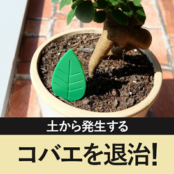 BotaNIceコバエ退治粘着剤 12個入アース製薬｜Earth