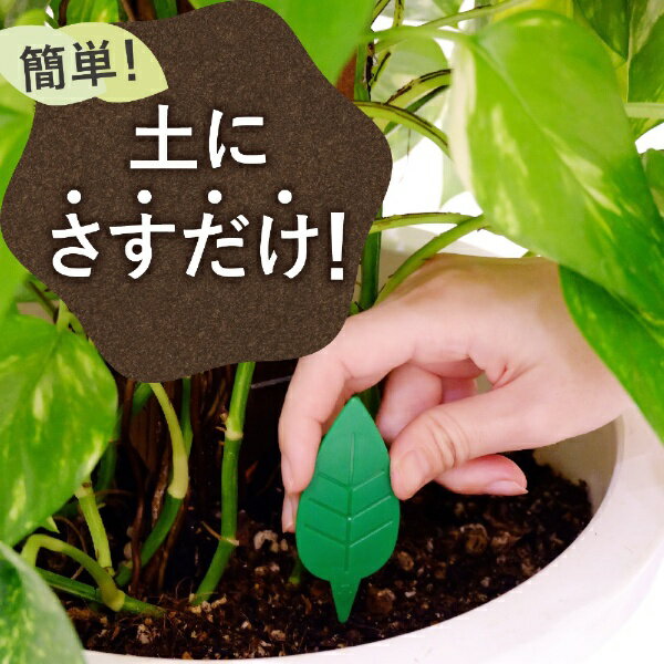 BotaNIceコバエ退治粘着剤 12個入アース製薬｜Earth