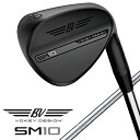 ^CgXgbTitleist EFbW {[PC SM10 WFbgubN 854RS1S [50 /12 /F-Grind /BV105 /Ep /1Flex]