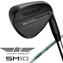 ^CgXgbTitleist EFbW {[PC SM10 WFbgubN 854RS2S [46 /10 /F-Grind /NS950NEO /Ep /S]