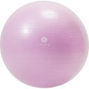 リノミライ|Lino Mirai バランスボール 65cm リノミライ ネイルピンク LMS91NH032NPK