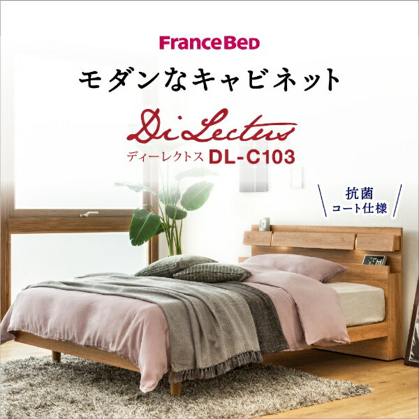 FRANCEBED｜フランスベッド 【フレームのみ】収納なし DL-C103-LG［レッグ/高強度...