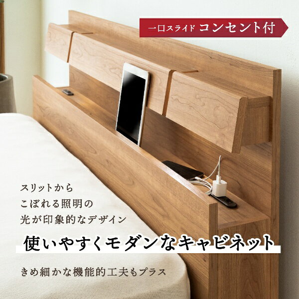 FRANCEBED｜フランスベッド 【フレームのみ】収納なし DL-C103-LG［レッグ/高強度...