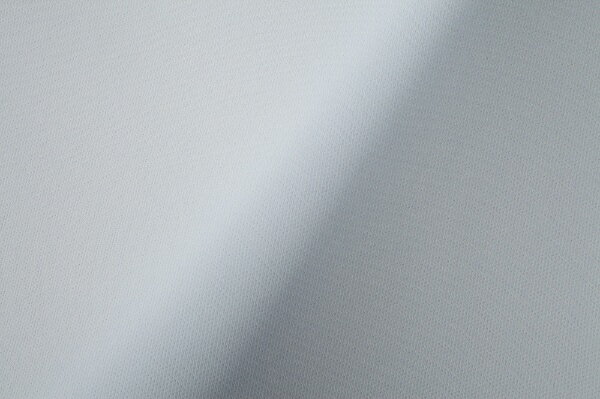 ����åץ���ѥ��Shop Japan �ȥ��롼���꡼�ѡ����꡼������ ���ꥸ�ʥ륫�С� �֥롼 [���󥰥륵����]