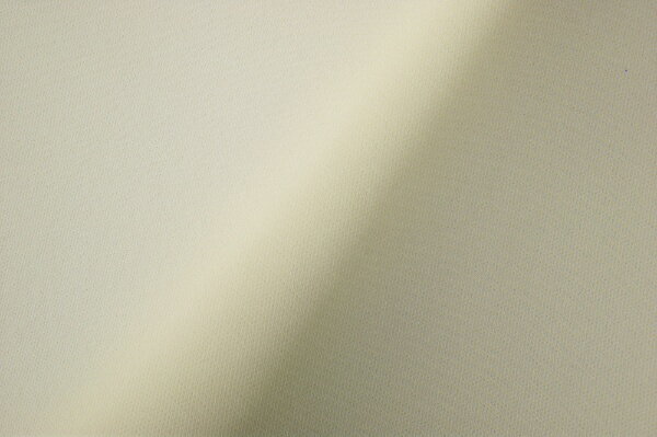 ����åץ���ѥ��Shop Japan �ȥ��롼���꡼�ѡ����꡼������ ���ꥸ�ʥ륫�С� �����ܥ꡼ [���󥰥륵����]