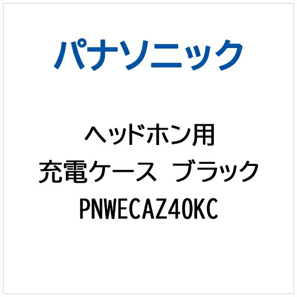 Panasonic｜パナソニック ヘッドホン用 充電ケース（ブラック） PNWECAZ40KC