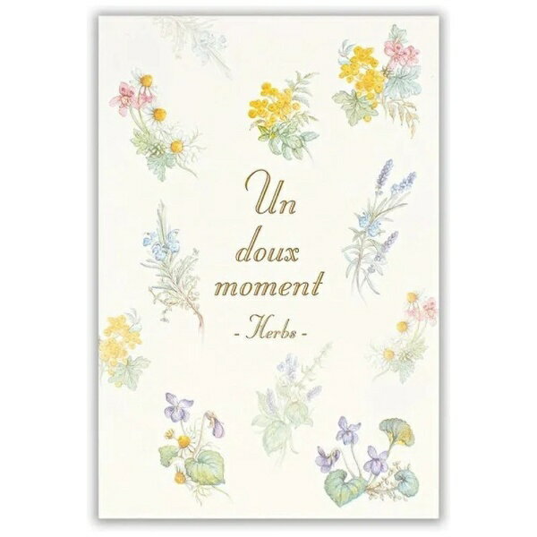 エヌビー社｜NB はがき箋 moment ハーブ 4581702