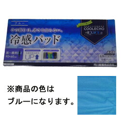 【送料無料】西川産業クールエコエクストラアイス(60×90cm/ブルー) [PAP0505425BL]