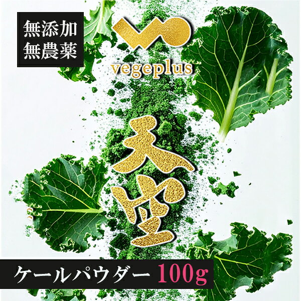 ケールパウダー 100g 岡山県産 国産