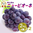 【令和7年産】 9月上旬発送開始 ニューピオーネ 2kg4房2箱 送料無料 ご贈答用 日本農業賞大賞受賞の産地 岡山 びほく産