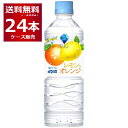 _Ch[ MIU ~E IW 550ml~24{(1P[X)yꕔn͏z