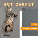 エスケイジャパン ホットカーペット 【7/18~7/20限定 500円OFFクーポン】 2畳 176×176 SKJ-KS2J-G 速暖 タイマー付 自動OFF 暖房 電気カーペット ダニ対策 電気マット 足元暖房 省エネ 床暖房