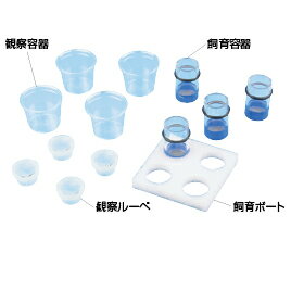 メダカの卵飼育観察セット【学習用品/実験素材】