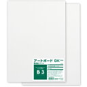 A&B両面アートボード(厚さ1.5mm) 画用紙GK B3(デザイン イラストボード 夏休み 冬休み 自由研究 描画 発表 )