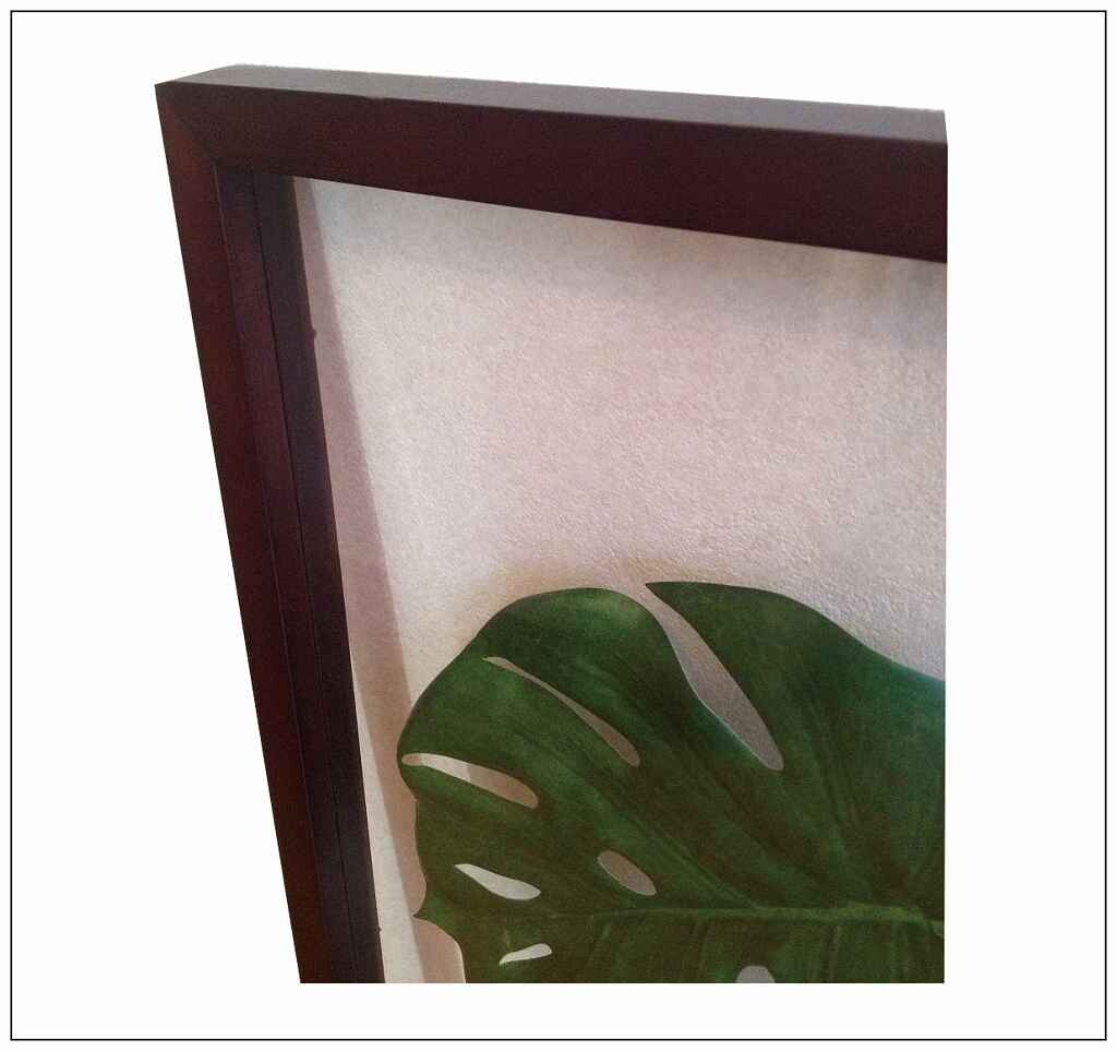 ポイント10倍 リーフアート モンステラ F Style Frame Monstera Deliciosa Black Iff 壁掛け グリーン 葉っぱ 観葉植物 透明 宅送 Secure Provocholine Com