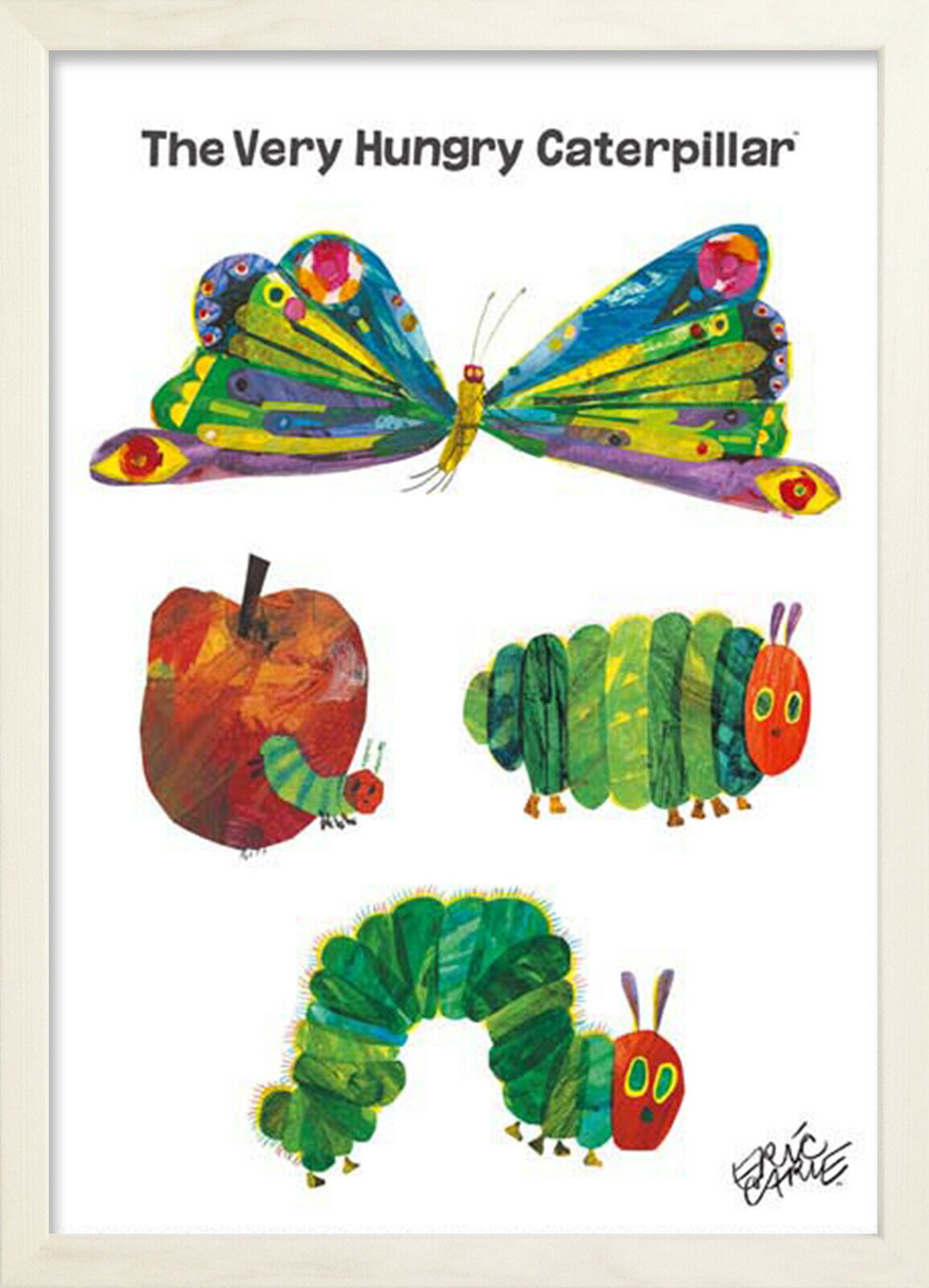 å Eric Carle Butterfly(WhiteFrame) zec-53010  ɳݤ  襤 ۱դ Ҷ å Ϥڤष