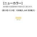 ニューカラー（色画用紙） 4切 クリーム 100枚 送料無料[メール便不可]（紙工作・パーツ 工作紙 夏休み 冬休み 自由研究 工作）