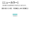 ニューカラー（色画用紙） 4切 うすみずいろ 100枚 送料無料[メール便不可]（紙工作・パーツ 工作紙 夏休み 冬休み 自由研究 工作）