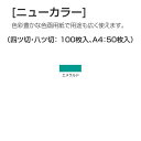 ニューカラー（色画用紙） 4切 エメラルド 100枚 送料無料（紙工作・パーツ 工作紙 夏休み 冬休み 自由研究 工作）