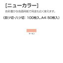 ニューカラー（色画用紙） 8切 サーモン 100枚[メール便不可]（紙工作・パーツ 工作紙 夏休み 冬休み 自由研究 工作）