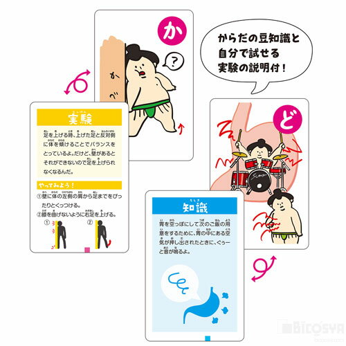 ��������Ի׵Ĥ��뤿�ʥ��٥�� �ץ쥼��� ���ꥹ�ޥ� �Ҷ��� �ץ쥼��� ���٥�� ���� �ΰ��� �����ɥ����� ������ ���륿��