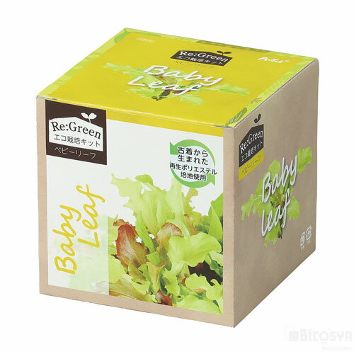 エコ栽培キット Re:Green ベビーリーフ（夏休み 自由研究 夏休み 冬休み 理科 自由研究セット 工作キット 栽培セット）