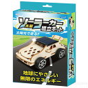 木製ソーラーカー組立キット(夏休み 自由工作 夏休み 冬休み 理科 自由研究セット 工作キット 図工 ハンドクラフト 電子工作)