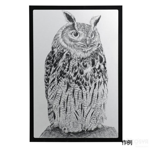 乐天商城 - 黒色ベーススクラッチボード シルバー（デザイン スクラッチ 夏休み スクラッチアート 図工 美術 工作 ハンドクラフト かんたん かわいい 小学生）