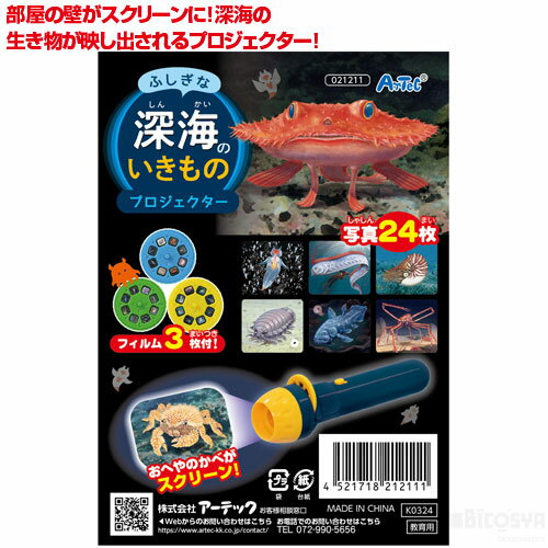 ふしぎな深海のいきものプロジェクター（イベント プレゼント プロジェクター 深海の生き物 深海生物  ...