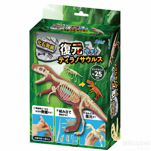 乐天商城 - 化石発掘復元キット ティラノサウルス（夏休み 自由研究 夏休み 冬休み 理科 自由研究セット 工作キット 恐竜 ダイナソー）