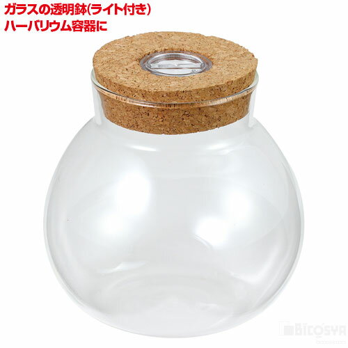 乐天商城 - 透明鉢(ライト付)（工作キット ホビー 夏休み 冬休み 自由研究セット 工作キット ランプ インテリア ライトアップ）