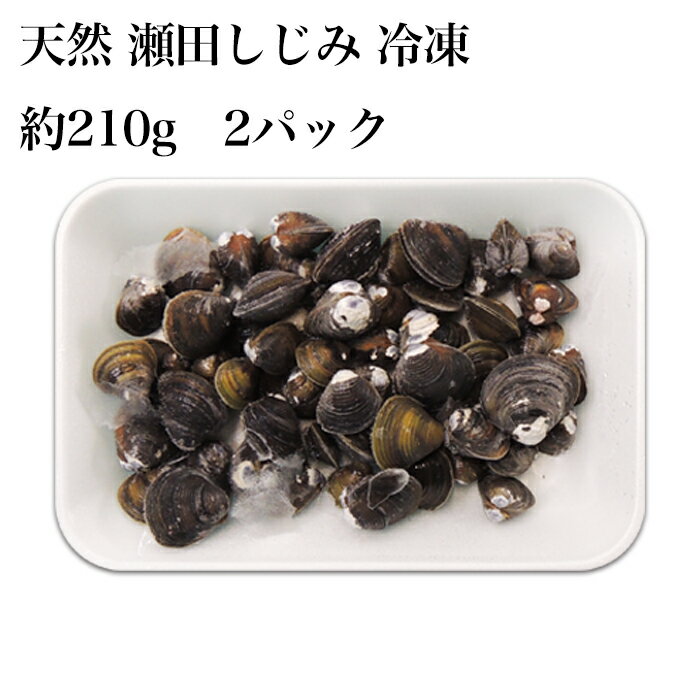 びわ湖産 天然 瀬田しじみ 冷凍 調理用 230g×2個パック セタシジミ せたしじみ 蜆 寒シジミ 滋賀 漁師直送 産地直送 国産 お味噌汁 具材 佃煮 しぐれ煮 お茶漬け 鮮魚 びわ湖しじみ 新物 無添加 自家製 魚友商店 琵琶近江商店 送料無料