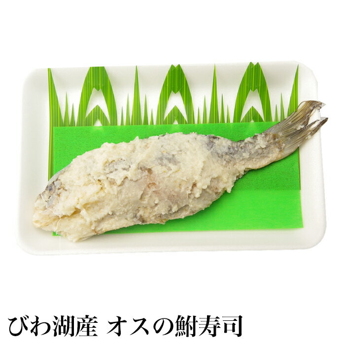 10%OFF ŷѡSALE 6/4 20 Ӥл ʫ դʤ 1ɤ 饤ʤ ܥʤ ŷ˥֥ ...