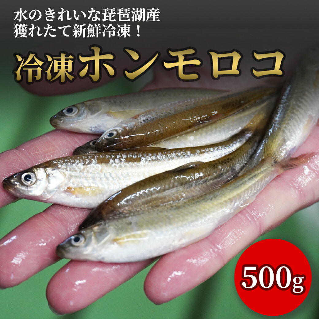 【10%OFF SALE 6/11 1:59迄】 びわ湖産 天然ホンモロコ 冷凍 調理用 500g もろこ モロコ 滋賀 漁師直送 産地直送 国産 佃煮 天ぷら 甘露煮 からあげ 食材 鮮魚 新物 自家製 魚友商店 琵琶近江商店 送料無料